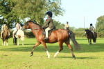 SBM_59934
