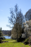 19Apr2013: Photo 109
