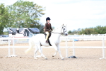 SBM_15776