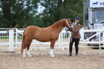 SBM_05906