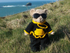 Kernow Bears Gear