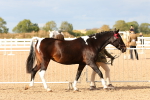 SBM_18340