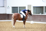 SBM_009019