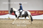 BPP_8306