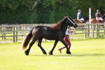 SBM_00890