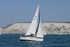 190629 PETASUS - GBR1293L 1Y3A0880