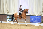 SBM_003813