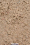 230511A-155529-01270