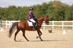 SBM_014754