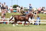 3E7A9598
