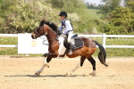 SBM_000682