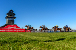 Race 6 portfolio