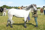 DSC05038