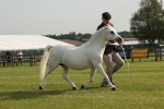 SBM_00528