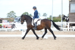 SBM_04884