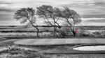 _DSC0955BW