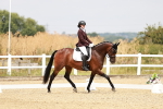 SBM_003084