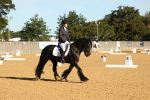 SBM_16431