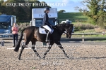 BPP_9633