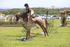 JPP_2956
