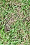 SBM_07858