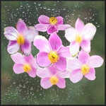 Blowing in the wind and rain