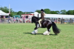 SBM_19371