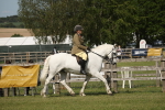 SBM_09531