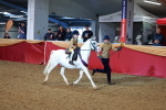 SBM_07766