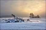 Winter on Rannoch