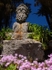 The Abbey Garden, Tresco #1