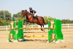 SBM_002031