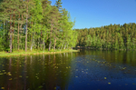Nuuksio National Park, Uusimaa, Finland
