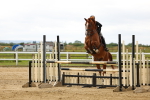 SBM_009399