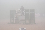 Cls 36 Academy Individual Pony 65cm portfolio