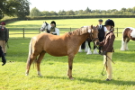 SBM_60948