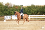 SBM_001675