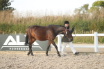 SBM_08730