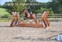 BPP_3750