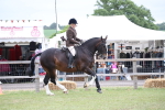 SBM_11346