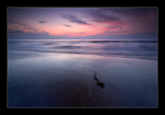 Winter Sunset