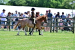 SBM_05757