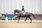 SBM_003498