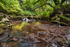 West Beck