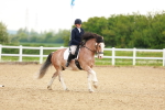 SBM_006448