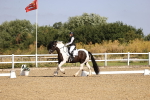 SBM_008631