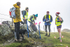 Wansfell-664