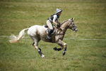 BVHT 140517  IXC -740