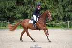 112-BILLY_MAPLE-Kitty_King-SUNTrotUp+SJ portfolio