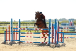 SBM_001894